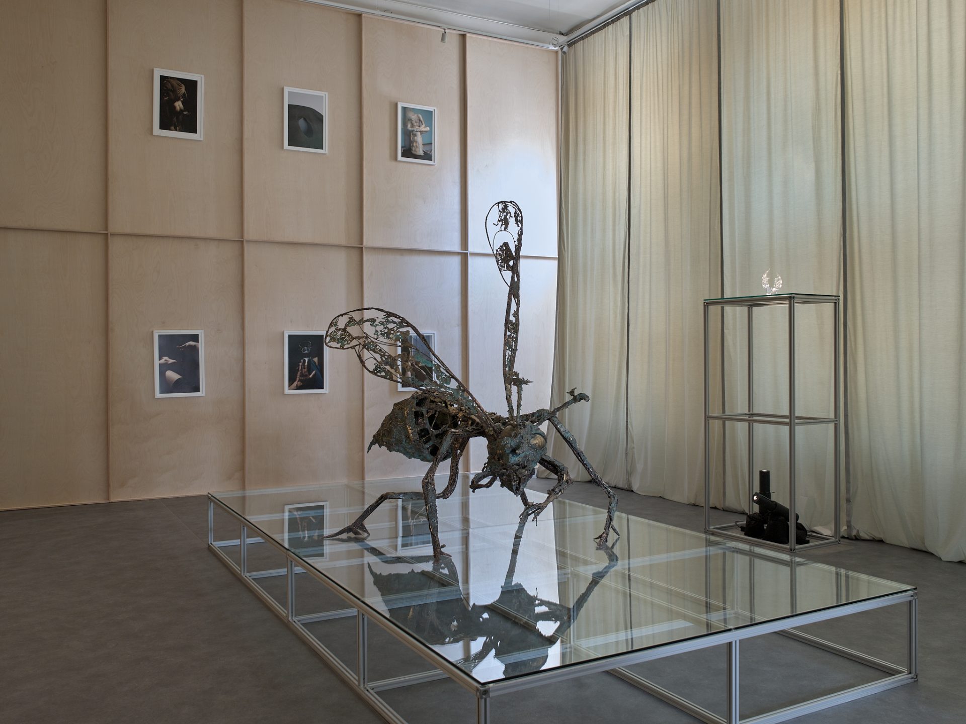 expo4-009-2